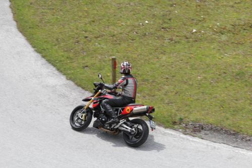 IMG 0953