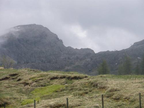 P6090229